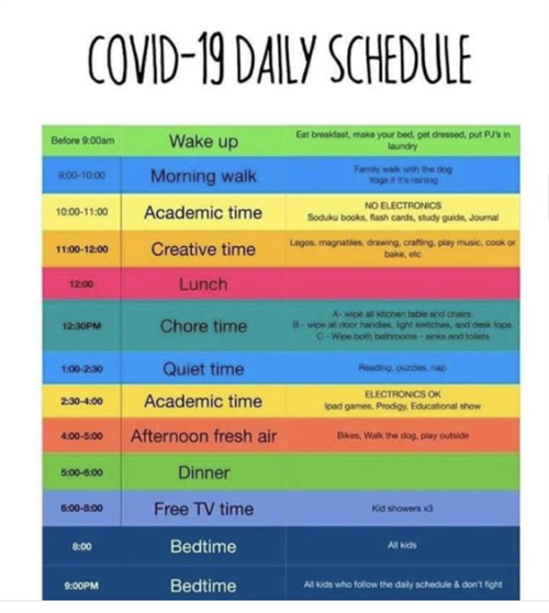 Covid 19 Daily Schedule This attachment is at the top of the page. 